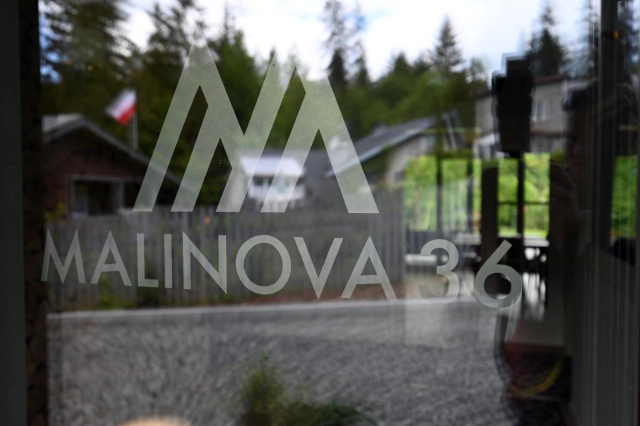 Malinova 36 Daire Wisła Dış mekan fotoğraf