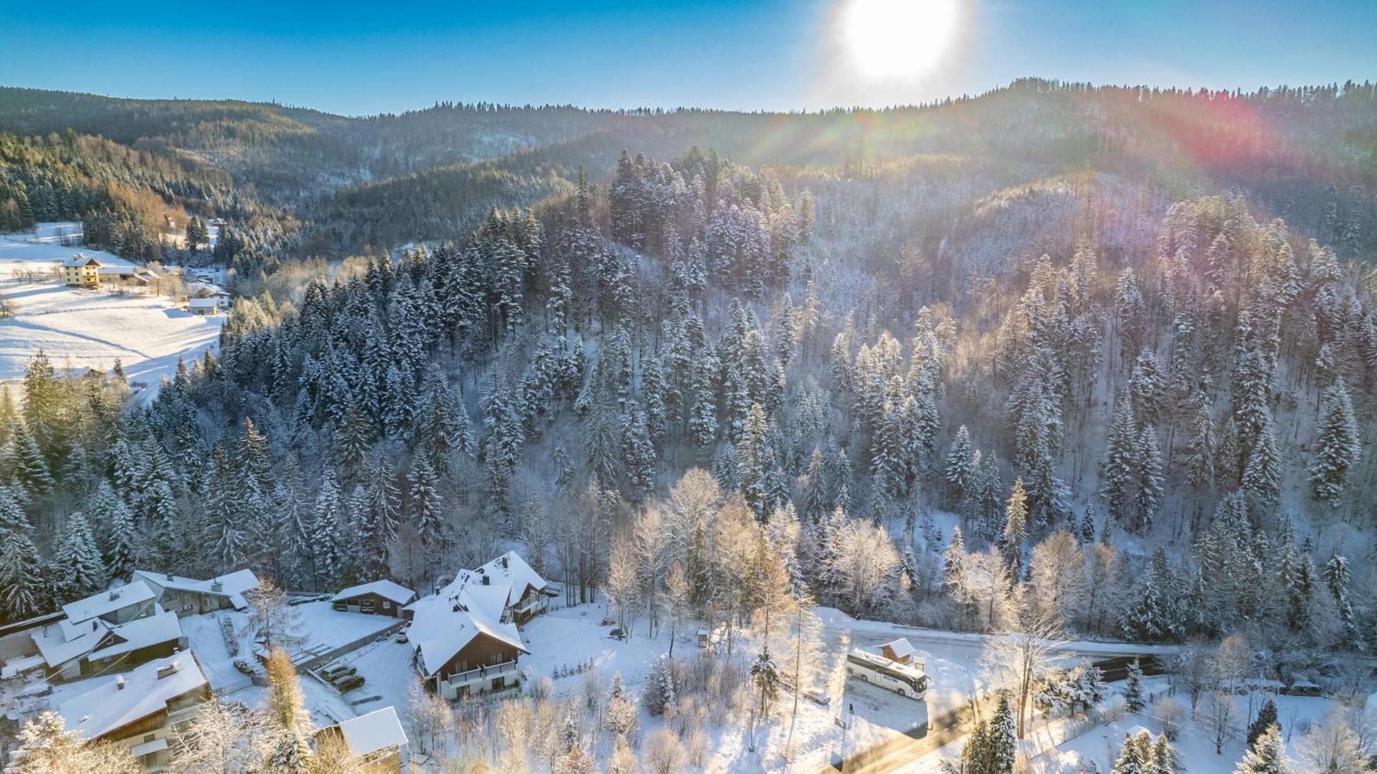 Malinova 36 Daire Wisła Dış mekan fotoğraf